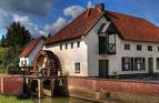 groenmolen alken