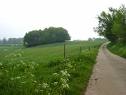hageland