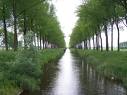 meetjesland