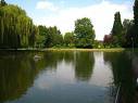 de motten