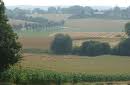 het hageland