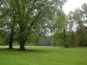 bulskampveld
