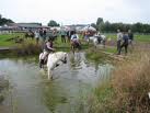paard en ruiter 2