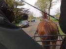 paard en ruiter 5