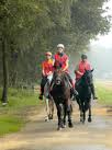 paard en ruiter