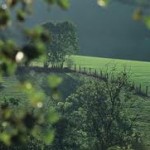 hageland