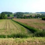 hageland