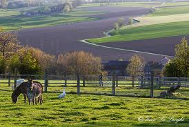 vlaamse ardennen 3