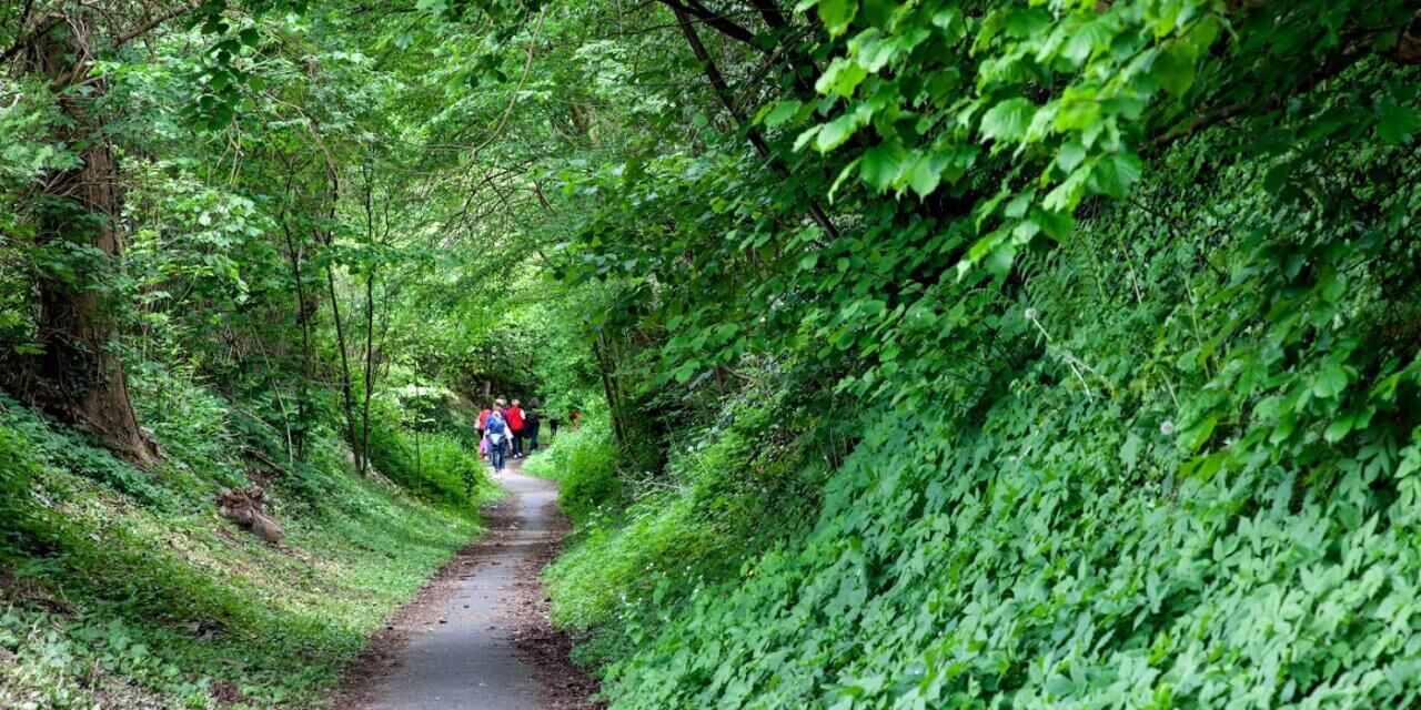 Holle Wegenwandeling in Vilvoorde.