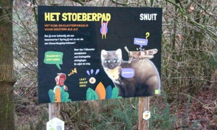 Het Stoeberpad in Oud-Turnhout.