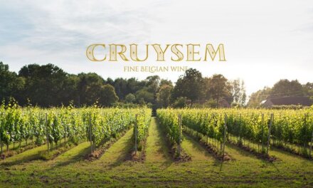 Bezoek een wijngaard in de Vlaamse Ardennen tijdens je tocht met een 2 pk’tje, Méhari of Dyane.