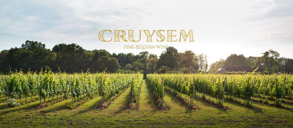 Bezoek een wijngaard in de Vlaamse Ardennen tijdens je tocht met een 2 pk’tje, Méhari of Dyane.