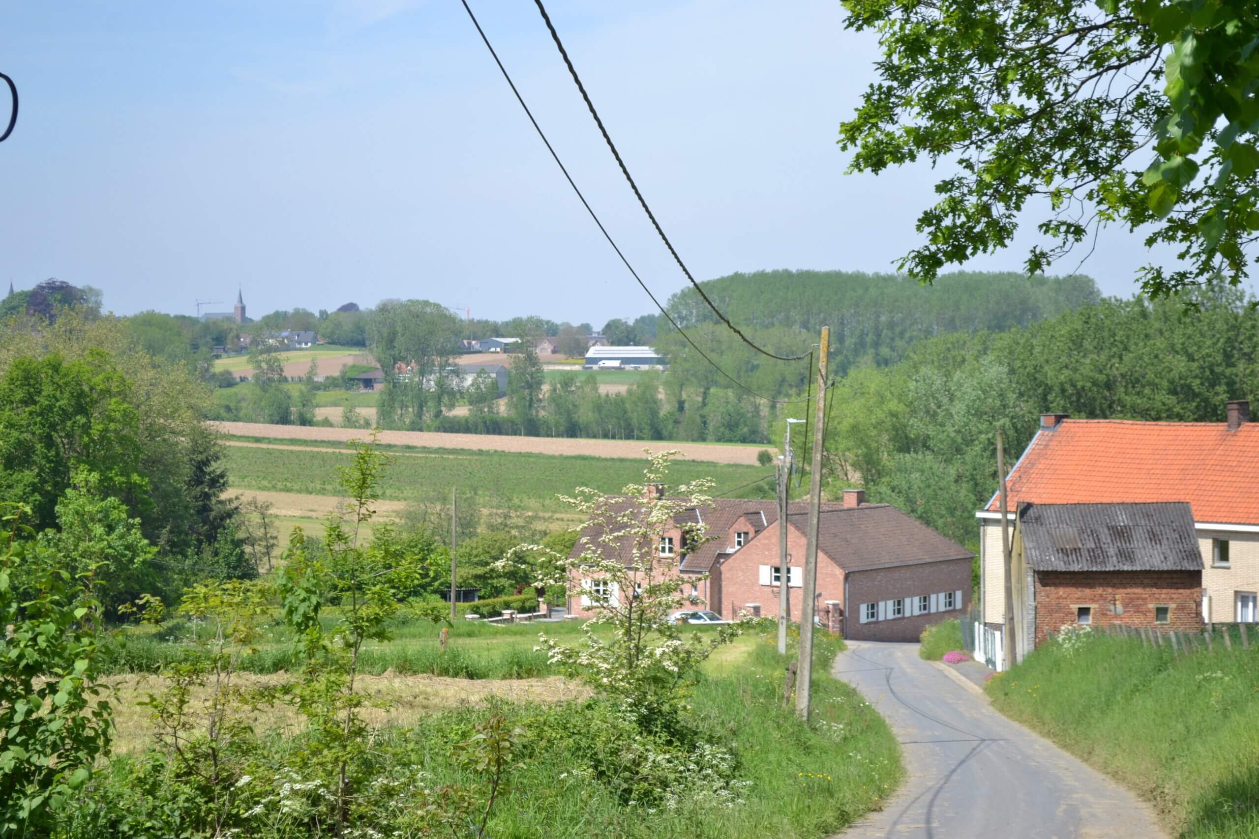 WhatsApp%20Image%202025 04 25%20at%2015.12.03.jpeg