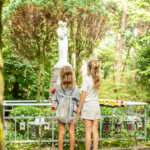 Drieboomkensbergpad Malle