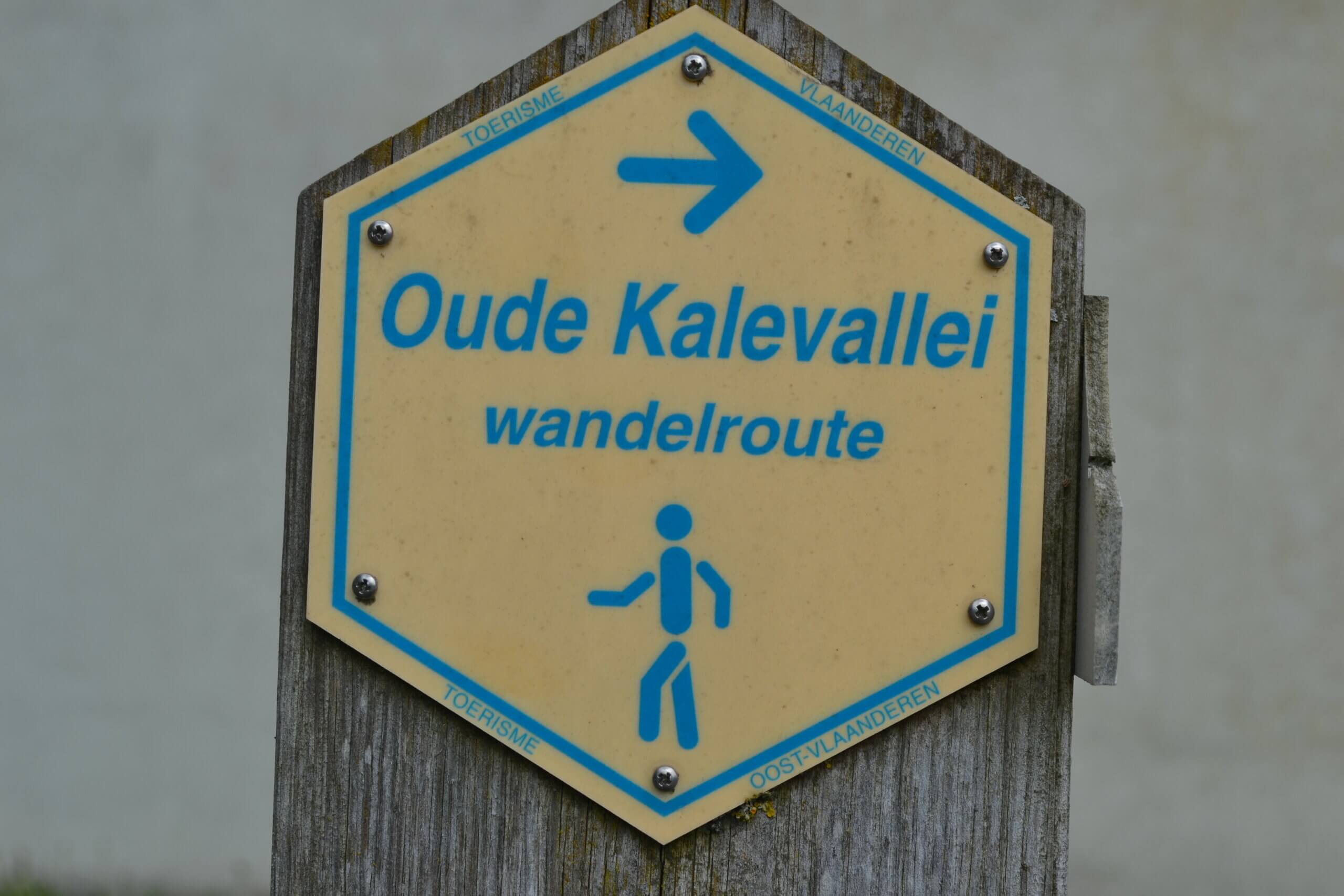 WhatsApp%20Image%202025 04 25%20at%2015.12.03.jpeg